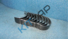 �������� �������� ��������